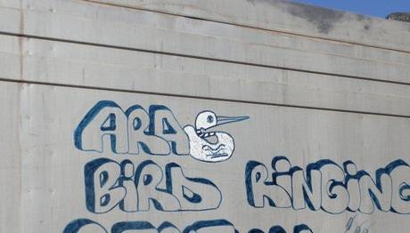 Aras Kuş Araştırma ve Eğitim Merkezi İlkbahar 2012 gönüllülerini bekliyor