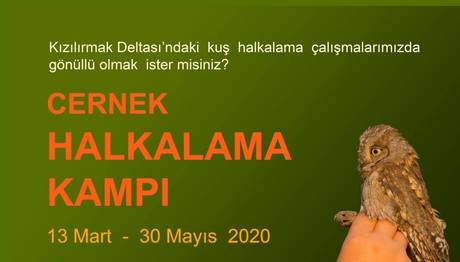 Cernek Halkalama Kampı 