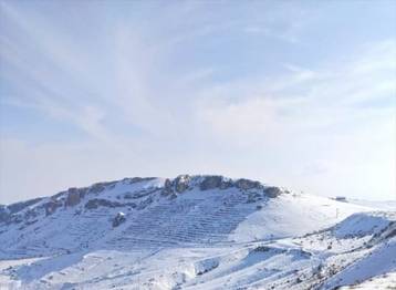 Darende'DE Yabani Kuşlar İçin Doğaya Yem Bırakıldı
