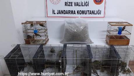 Nesli Tükenen 61 Kuşu Avladı, 47 Bin TL Ceza Uygulandı