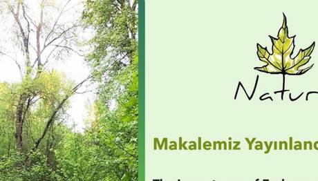 Köyceğiz Sığla Ormanlarının Kuş Çeşitliliği Açısından Önemi