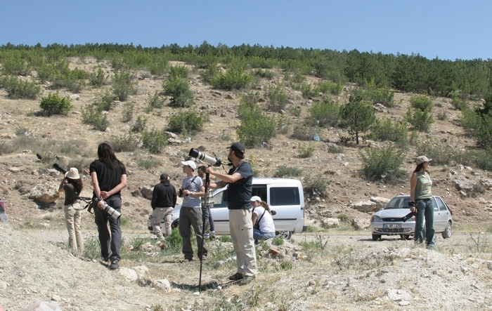 trakus-karagol-kus-gozlemi