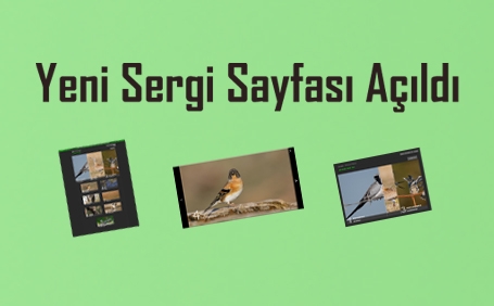 yeni-sergi-sayfasi-acildi