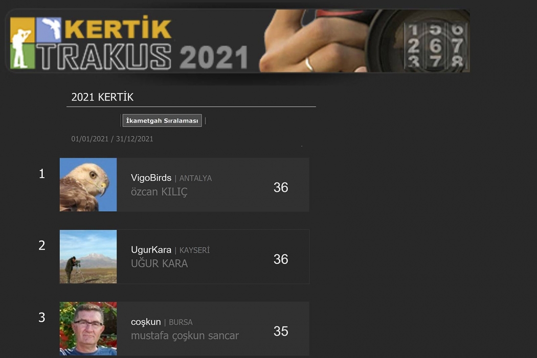 kertik--2021