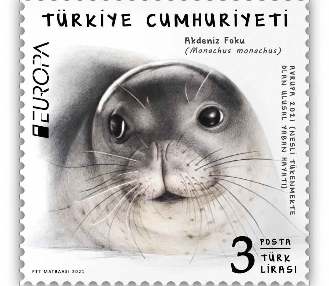 turkiye-akdeniz-foku-ile-pul-yarismasina-katildi