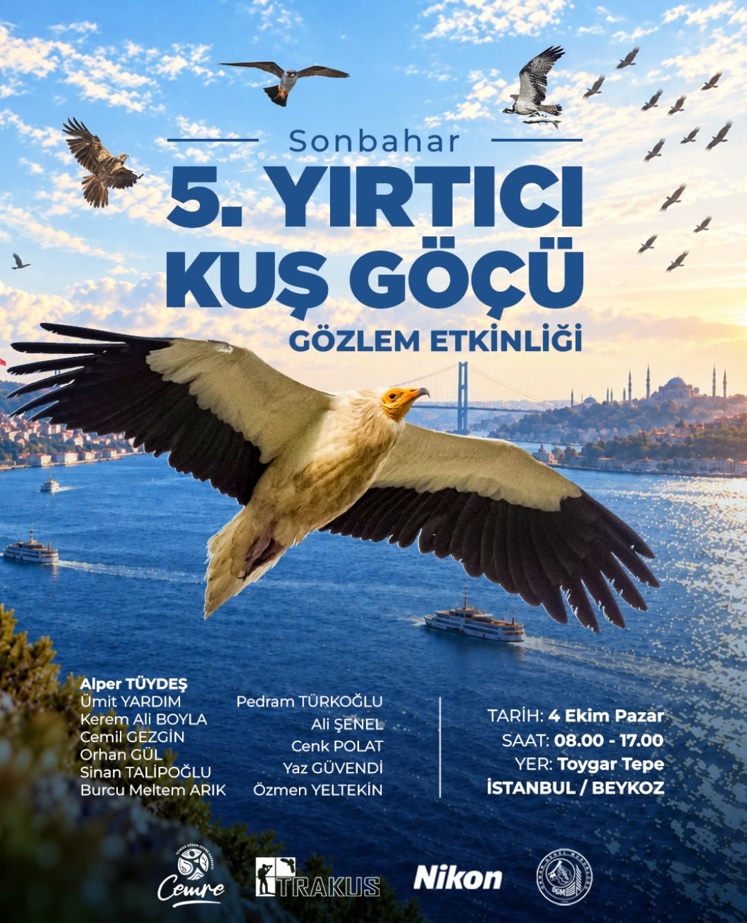 etkinlik