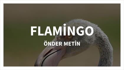 FLAMİNGO- ÖNDER METİN-MANAVGAT
