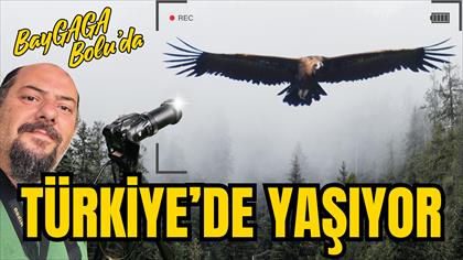 Kara Akbaba video