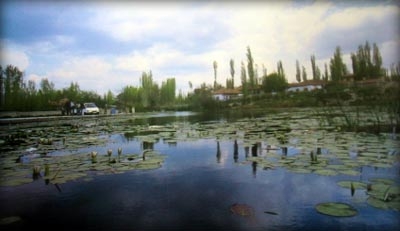 seyfe-golunun-misafirleri