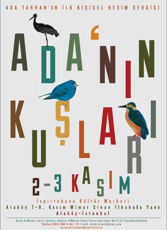 adanin-kuslari