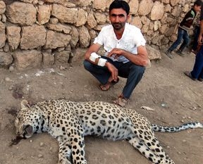 leopar-vuran-coban-simdi-kus-gorsek-yonumuzu-degistiriyoruz-dedi-ama--