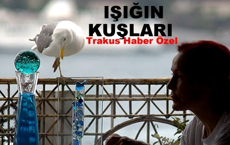 isikin-kuslari
