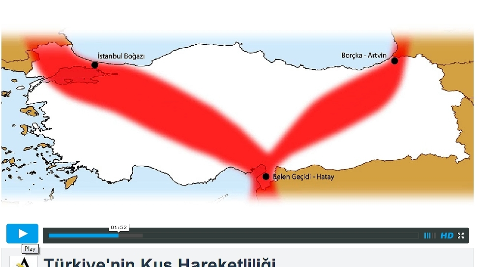 turkiyede-kus-hareketliligi