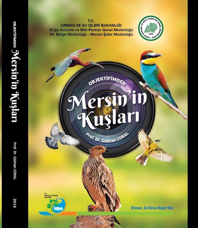 objektifimden-mersinin-kuslari