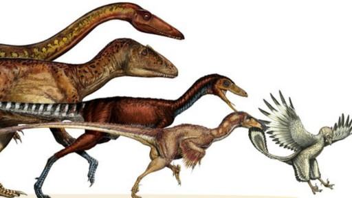 163-kiloluk-dinozor-800-gramlik-kusa-donustu