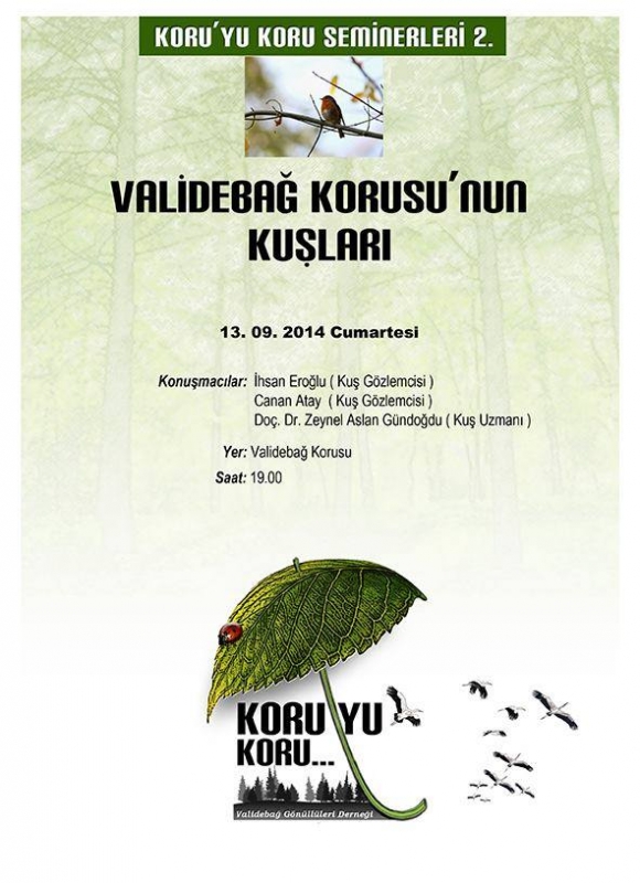 validebag-korusunun-kuslari