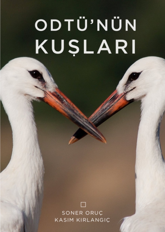 odtunun-kuslari-kitabi-cikti