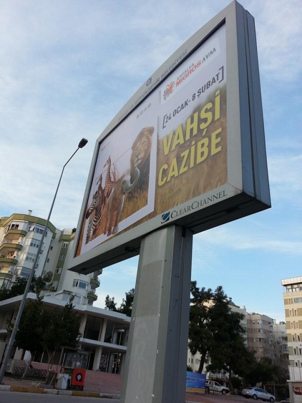 vahsi-cazibe-antalyada
