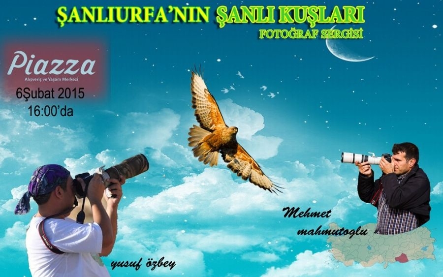 sanli-kuslari