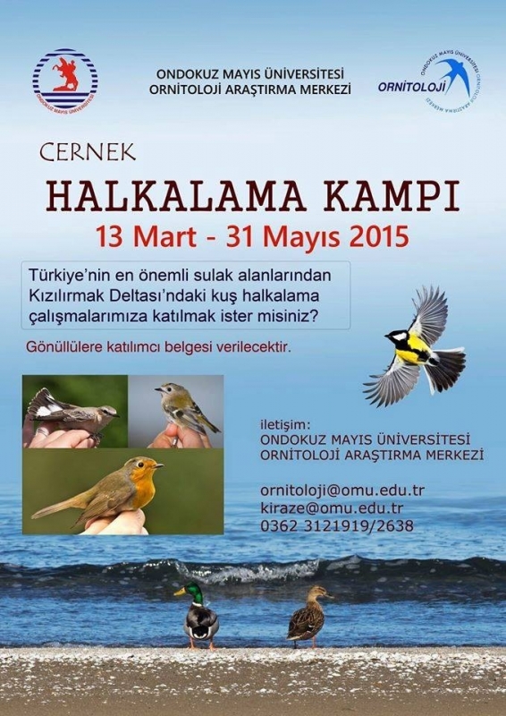 cernekte-calismalar-basliyor