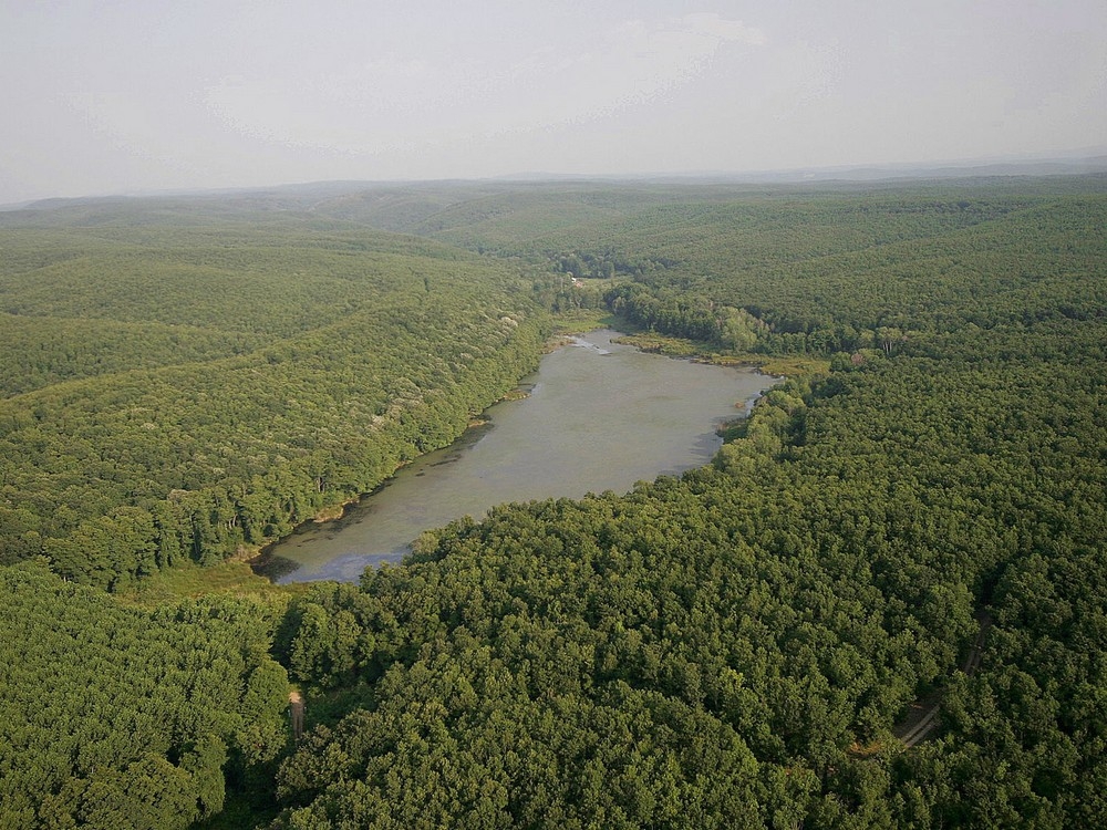 longozun-pedinasi-geri-dondu
