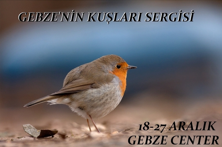 gebzenin-kuslari-sergisi