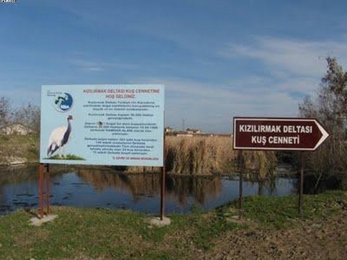 kizilirmak-deltasi-kus-cennetine-gelen-leyleklerin-goc-haritasi-cikarilacak