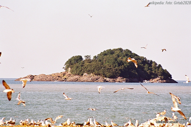 binlerce-kus-giresun-adasina-yuva-yapti