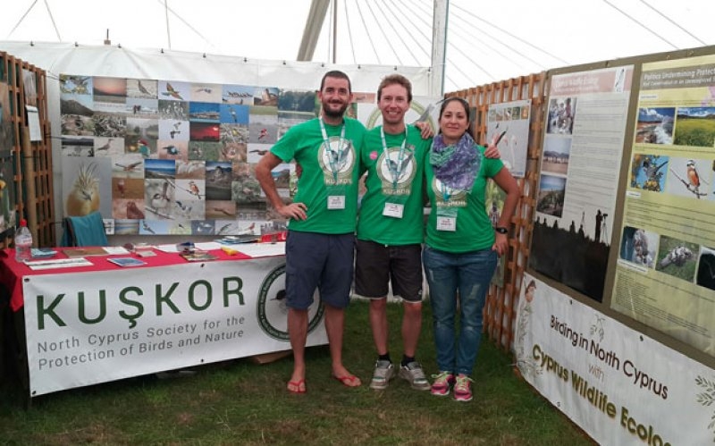kuskor-birdfairdeydi
