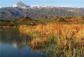 aras-nehri-kus-cennetinde-yeni-kus-genetik-dizileri-bulundu