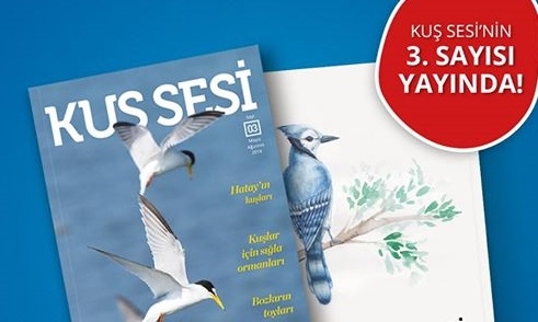 kus-sesinin-3--sayisi-yayinda