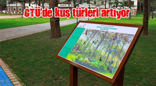 gtude-kus-turleri-artiyor