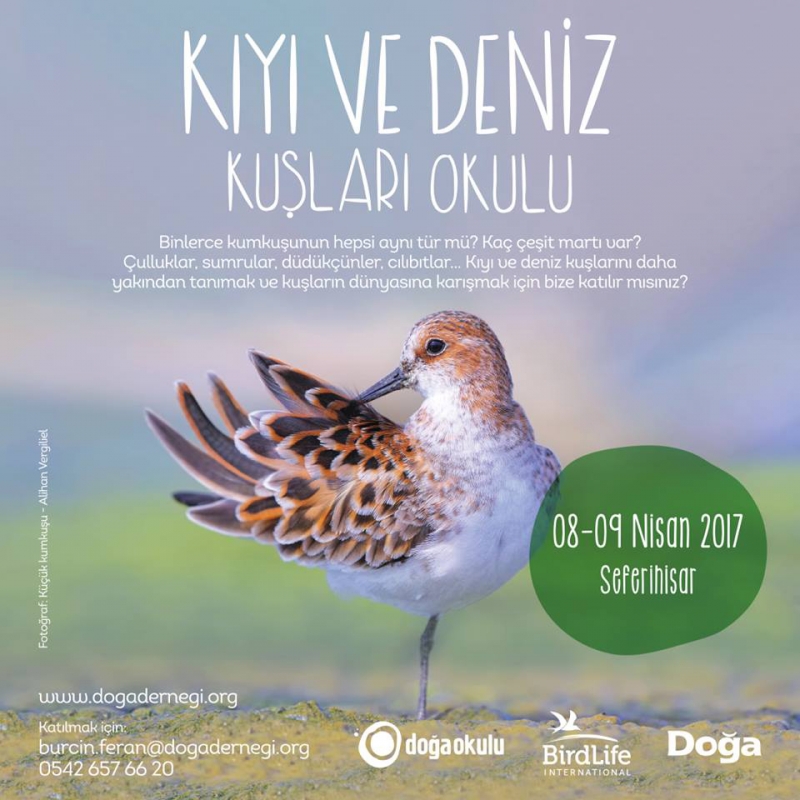 kiyi-ve-deniz-kuslari-okulu-8-9-nisanda!