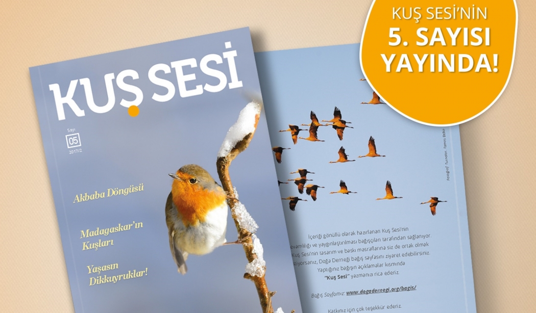 kus-sesinin-5--sayisi-yayinda