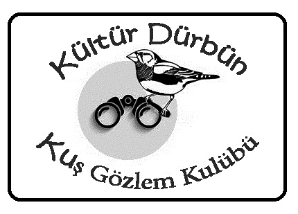 kultur-durbun-kuruldu