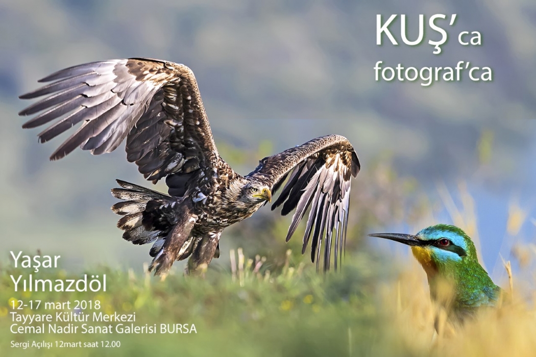 kusca-fotografca
