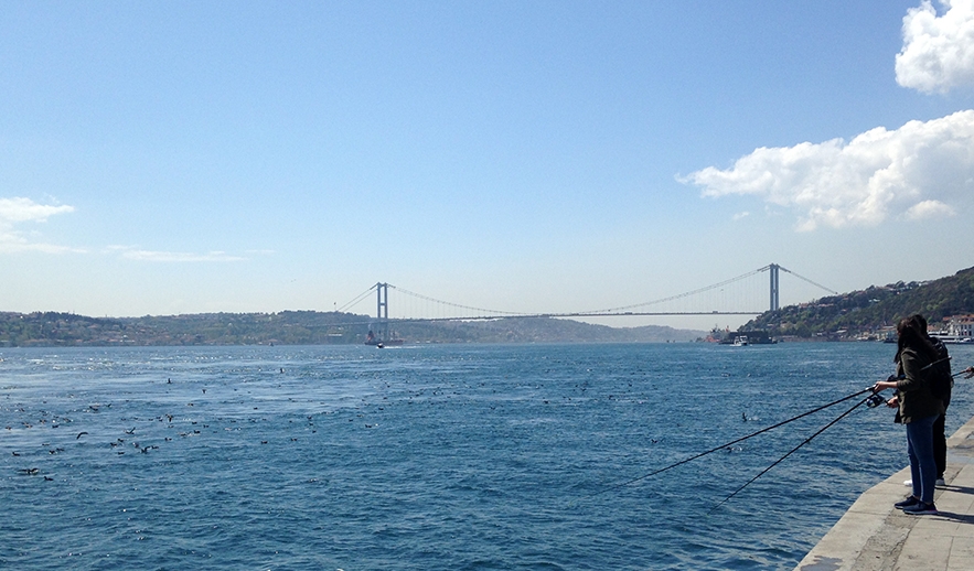 istanbul-bogazinda-yelkovan-bollugu-uzucu-durumda