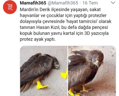 hayat-tamircisi-yavru-kartala-protez-ayak-yapti