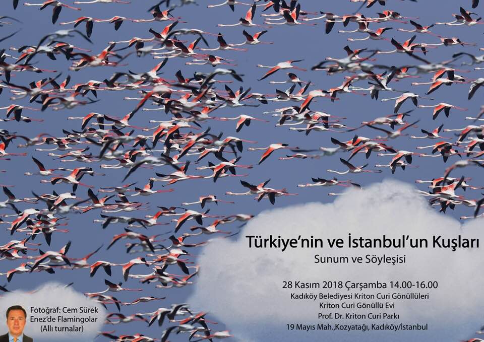istanbulda-kus-sunum-ve-soylesisi