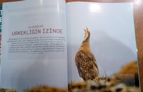 aladaglar-urkekligin-izinde