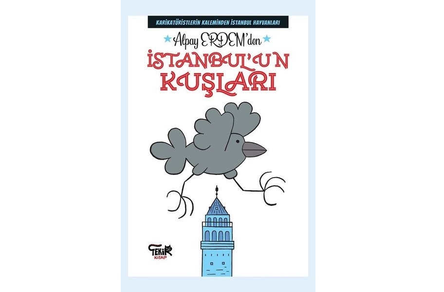 alpay-erdem--istanbulun-kuslari