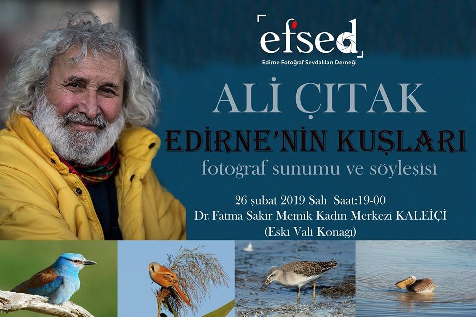 ali-citak--edirnenin-kuslari