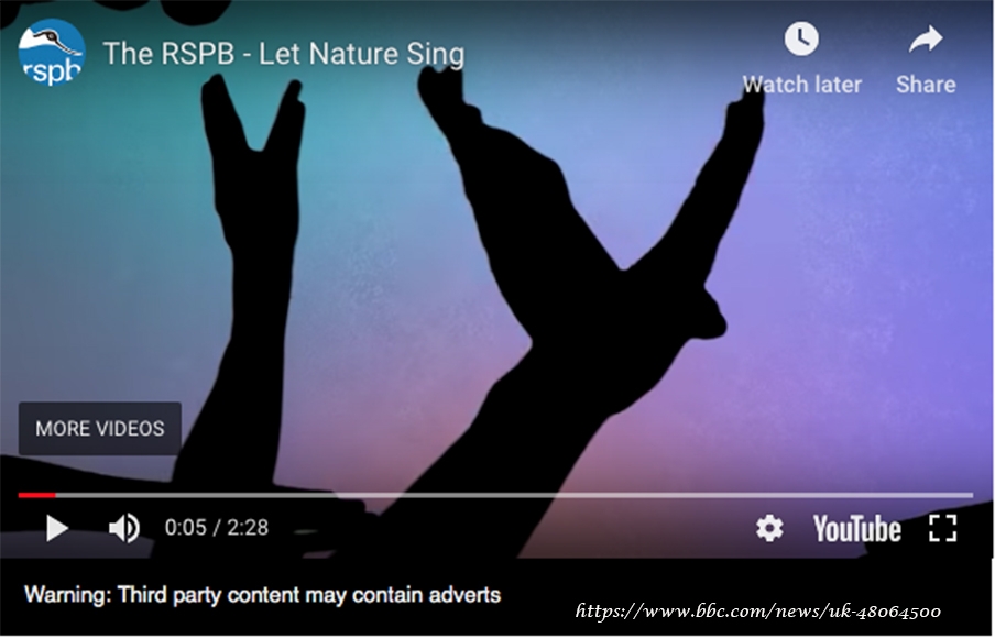 rsbpden--britanyanin-azalan-kuslarina-dikkat-cekmek-icin-muzik-bandi