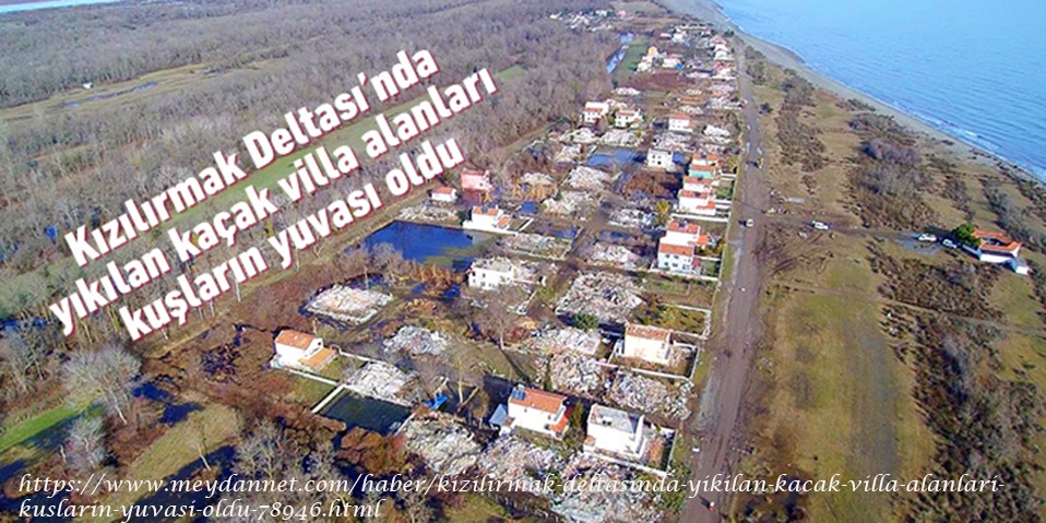 kizilirmak-deltasinda-yikilan-kacak-villa-alanlari-kuslarin-yuvasi-oldu