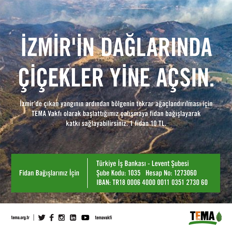 izmirin-daglarinda-cicekler-yine-acsin