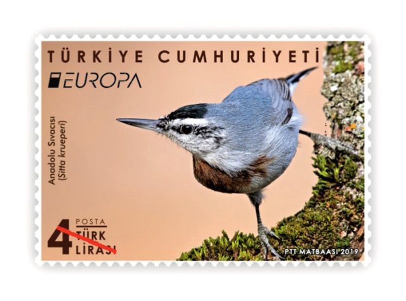 anadolu-sivacisi-pttye-odul-getirdi