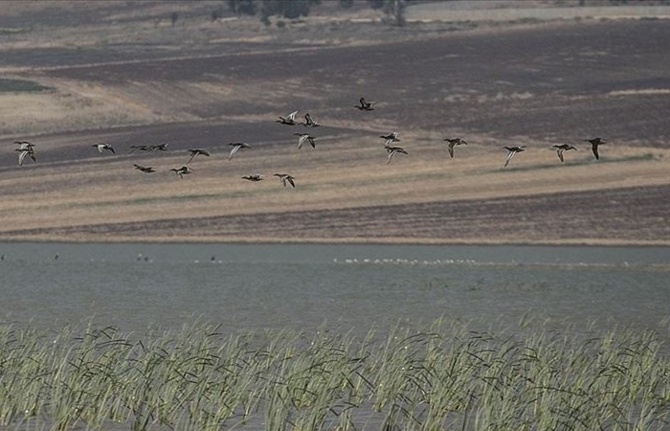 reyhanli-baraji-kus-cenneti-olmaya-aday