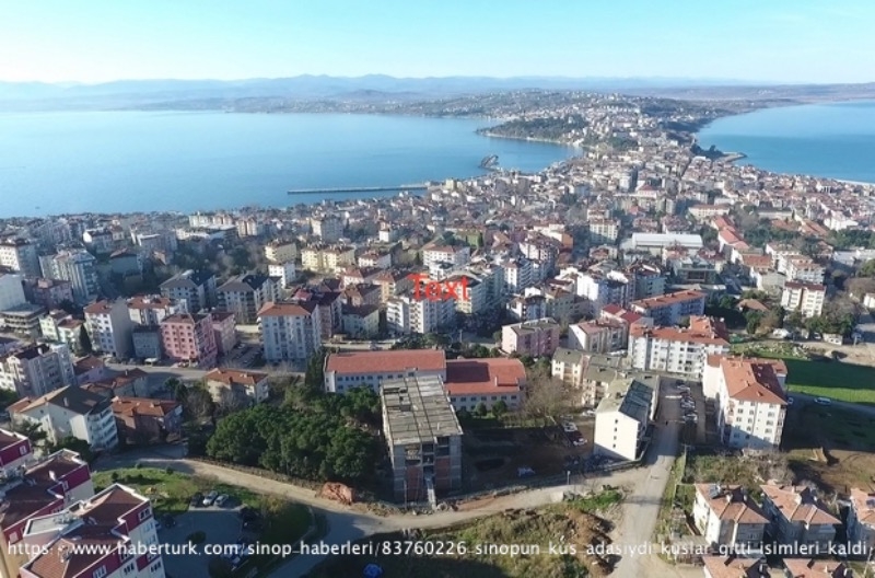 sinopun-kus-adasiydi-kuslar-gitti-isimleri-kaldi