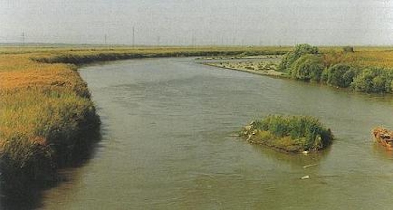 aras-kus-cennetinde-sonbaharda-94-turden-7-bin-kus-halkalandi