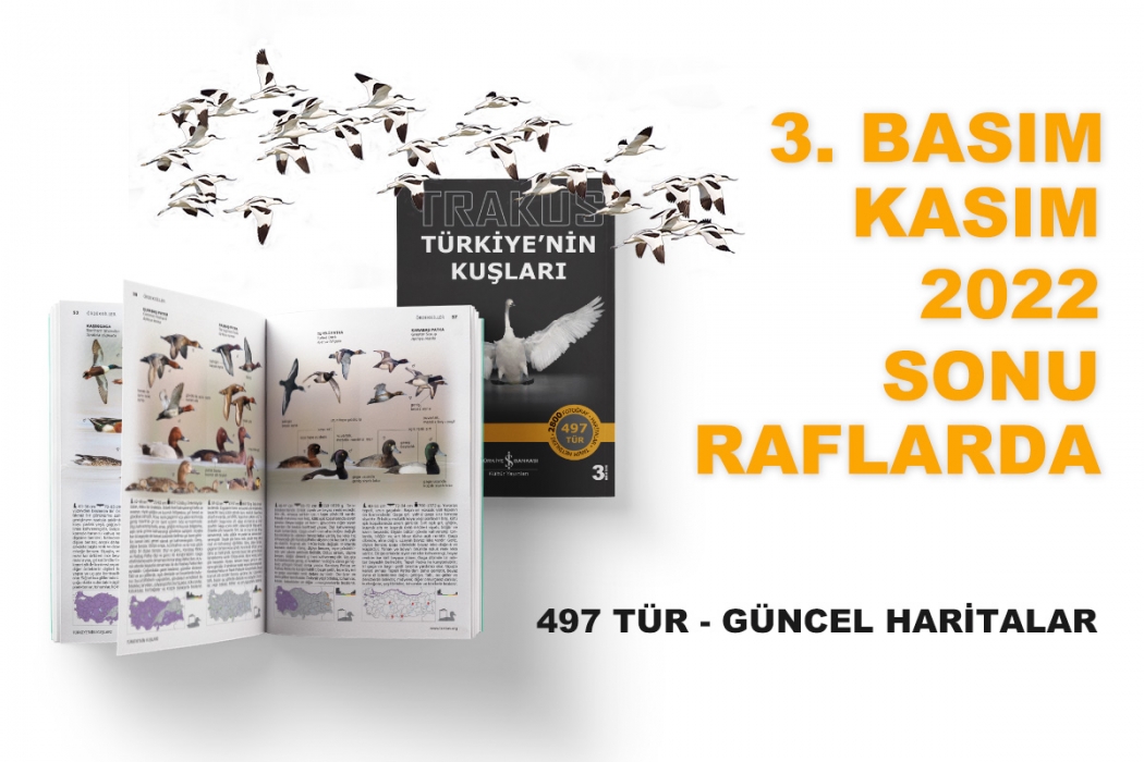 trakus-turkiyenin-kuslari-arazi-rehberi-3-basim-kasim-sonu-raflarda